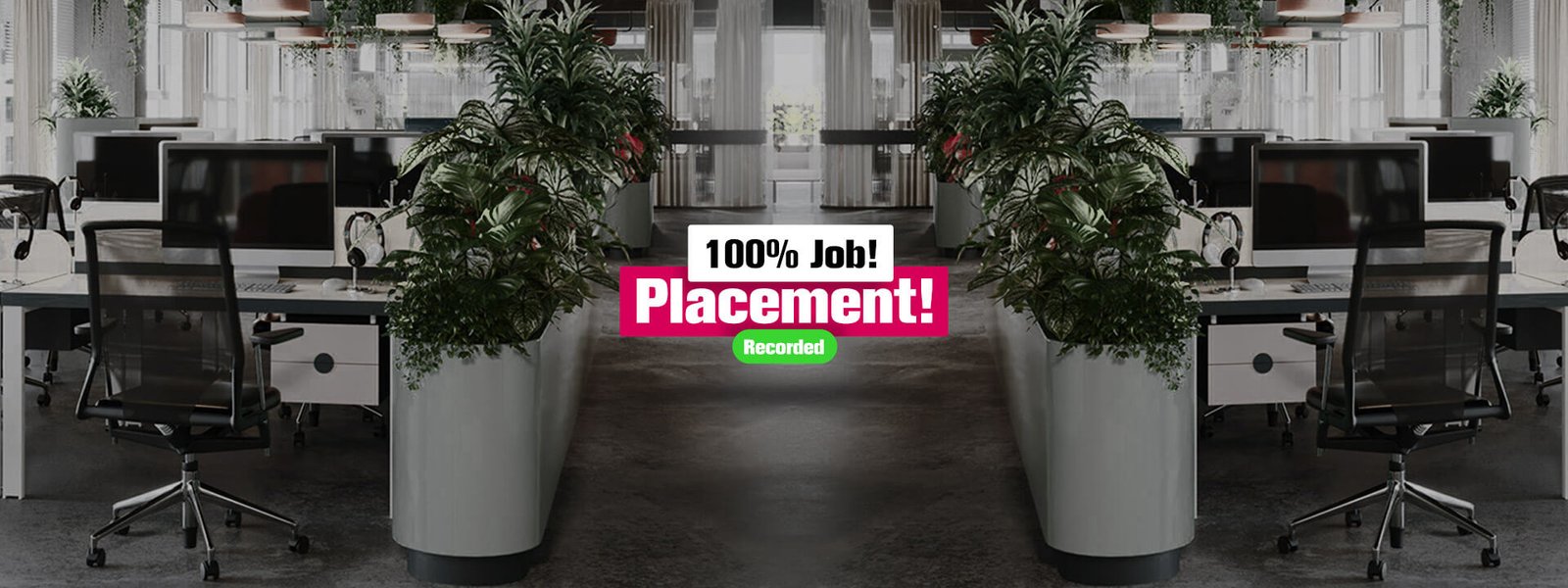 100% Job Placement